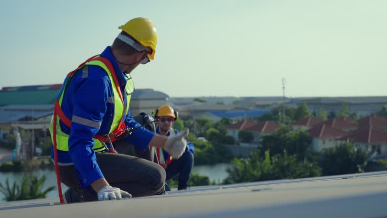 Best Roof Maintenance and Cleaning  in Meadowbrook, CA